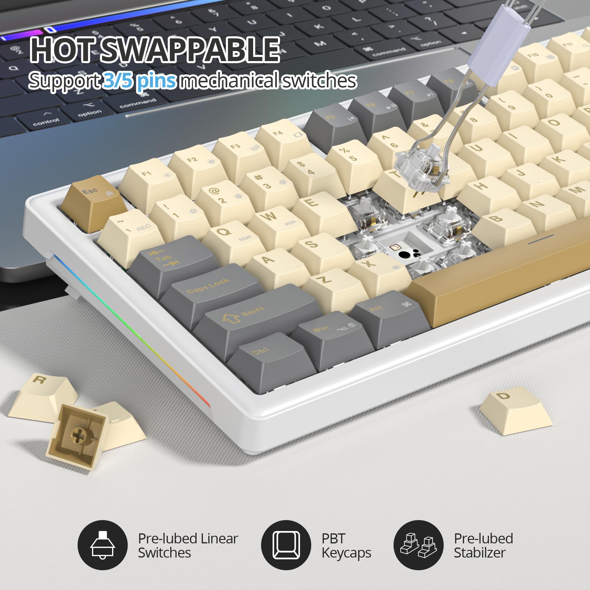 Tastiera Meccanica 75% TKL, Layout Americano QWERTY,Gasket Tastiera Gaming 75% con Filo, RGB Retroilluminata,Hot-swap,Interruttore Lineare