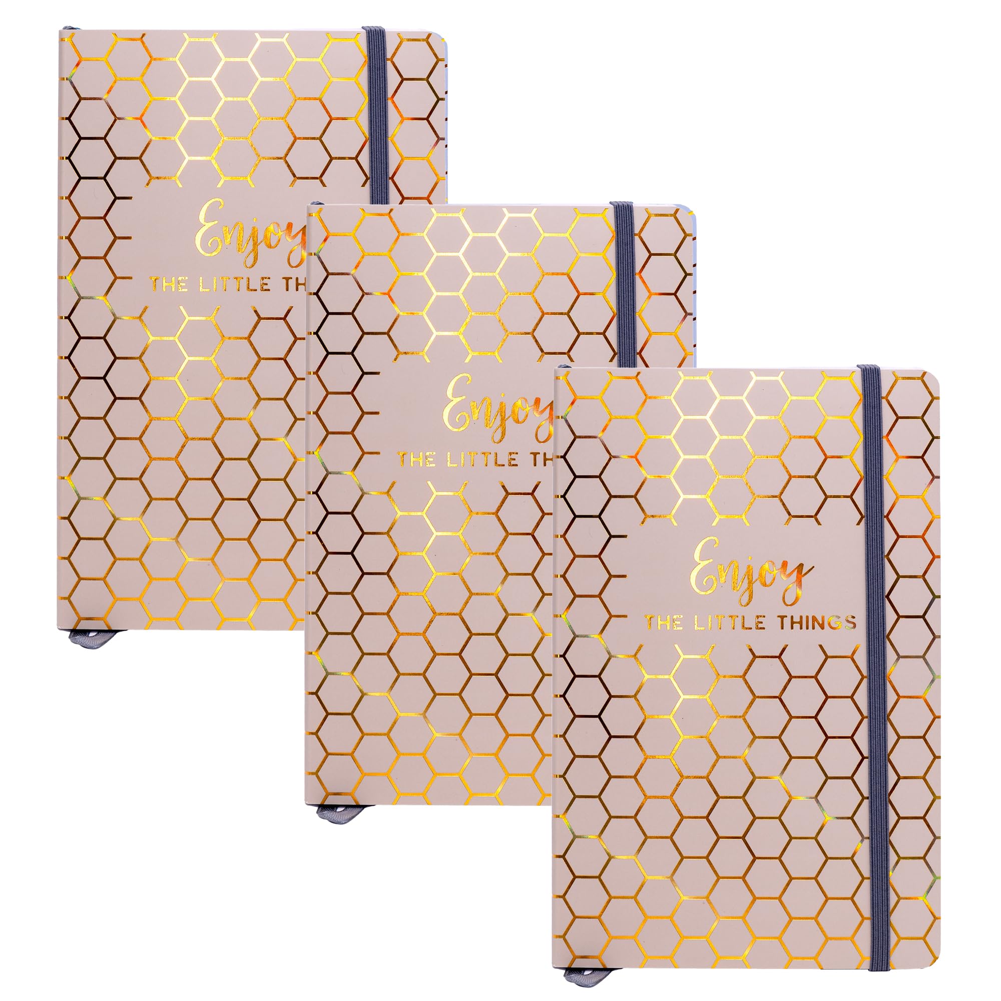 Carnets de notes haut de gamme Pukka Pad Haze A5 beige élastique
