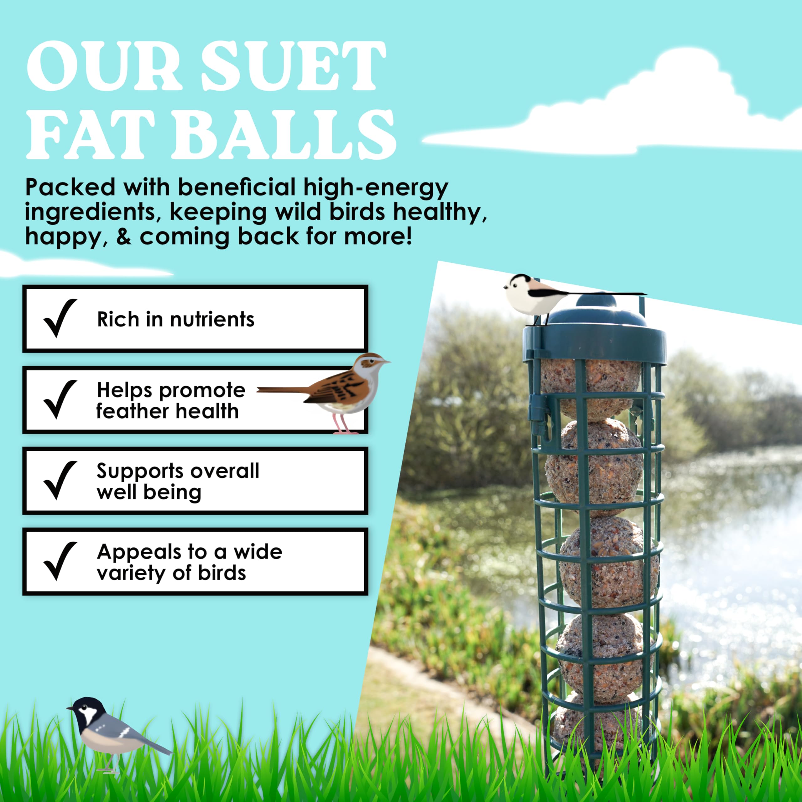 Wolds Wildlife - Premium Suet Fat Balls, 50 x 80g Tub - High-Energy, All-Season Fat Balls for Wild Birds - Enriched with Human-Grade Beef Tallow - High Energy Bird Food with Essential Oils & Protein — view 6