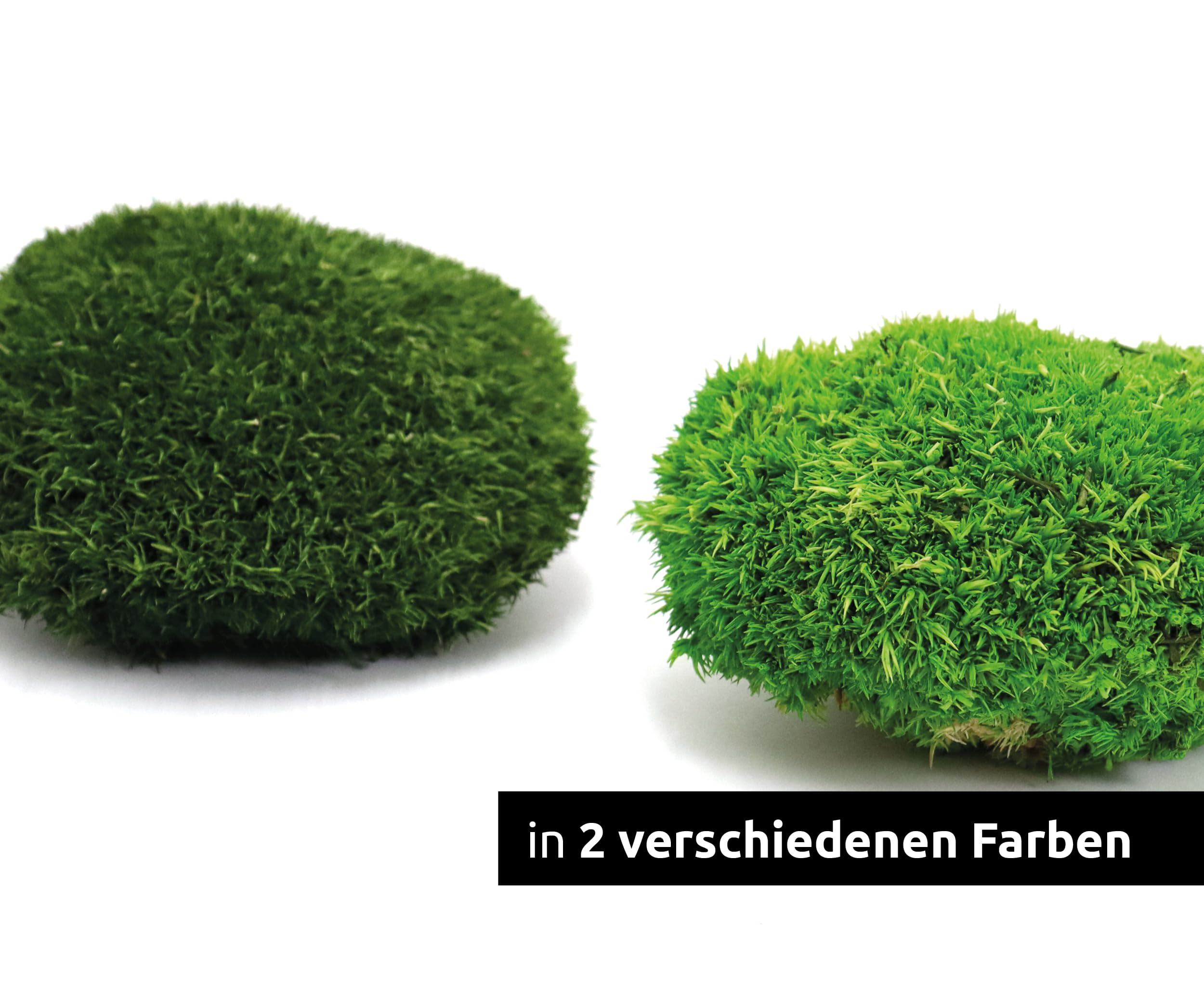 Bollenmoos konserviert für Moosbilder Dekomoos Kugelmoos Premium Qualität Dunkelgrün, Artikelgewicht: 0.25