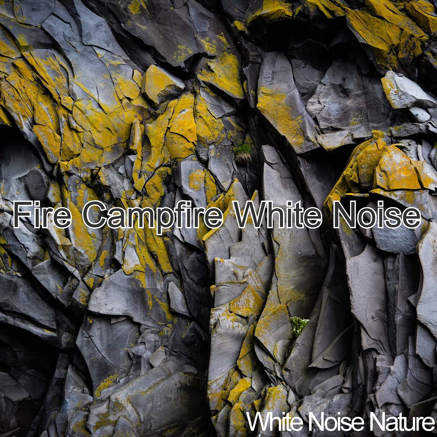 White Noise Nature