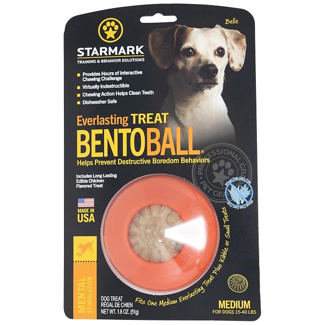 Foto 2 de 8 de STARMARK Everlasting Bento Bola