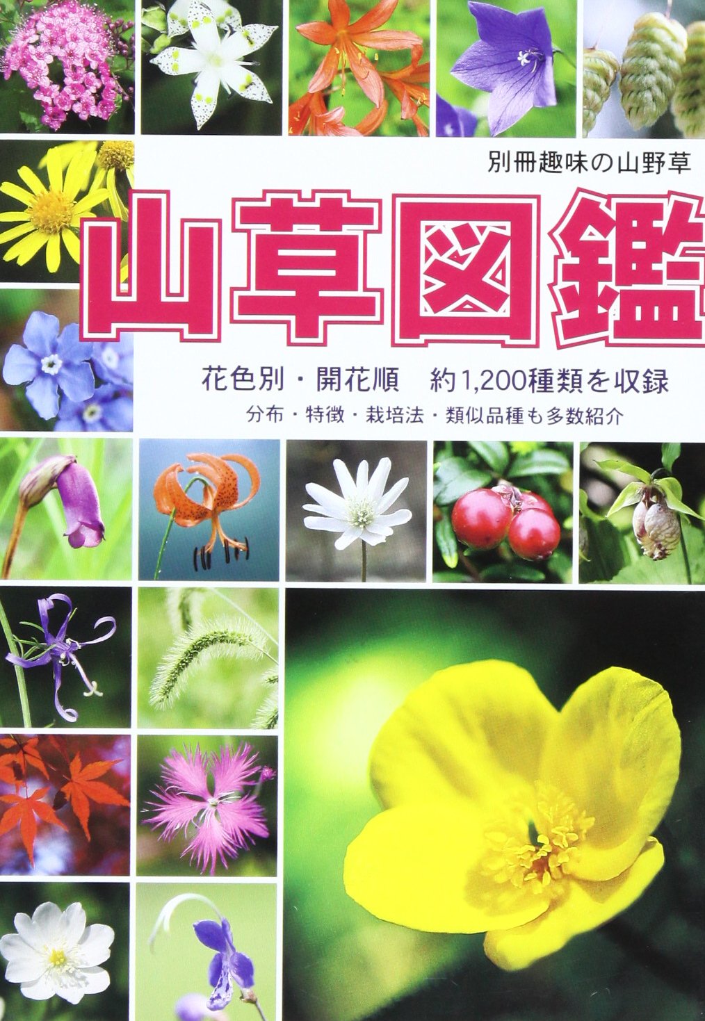 山草図鑑 別冊趣味の山野草 本 通販 Amazon