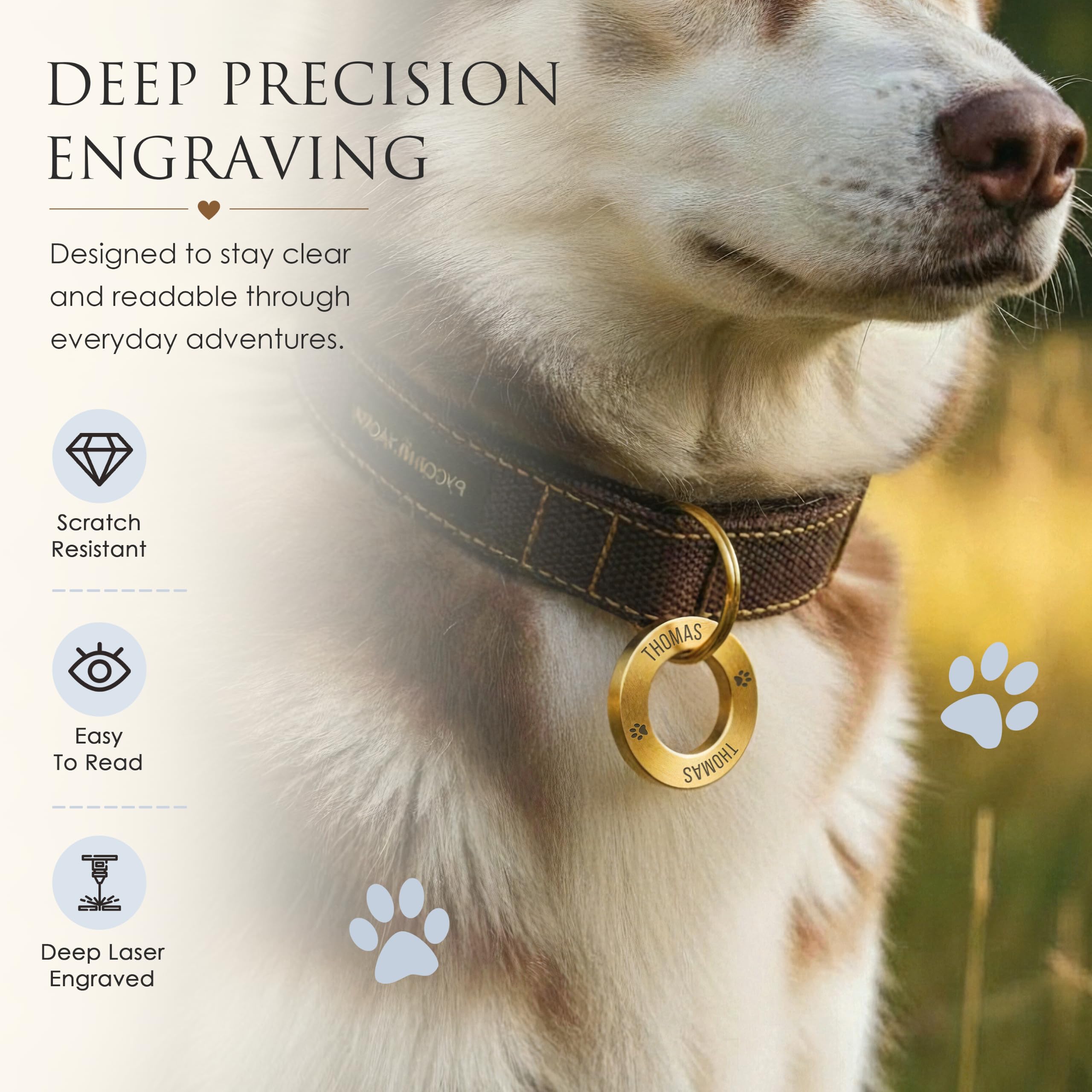 Médaille personnalisée pour animaux de compagnie – Bague d'identification gravée profonde en laiton massif (35 mm, taille M) – Médaille nom durable pour collier de chien ou chat – Fabriqué