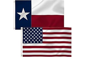 4x6 Texas Flag and American Combo Pack