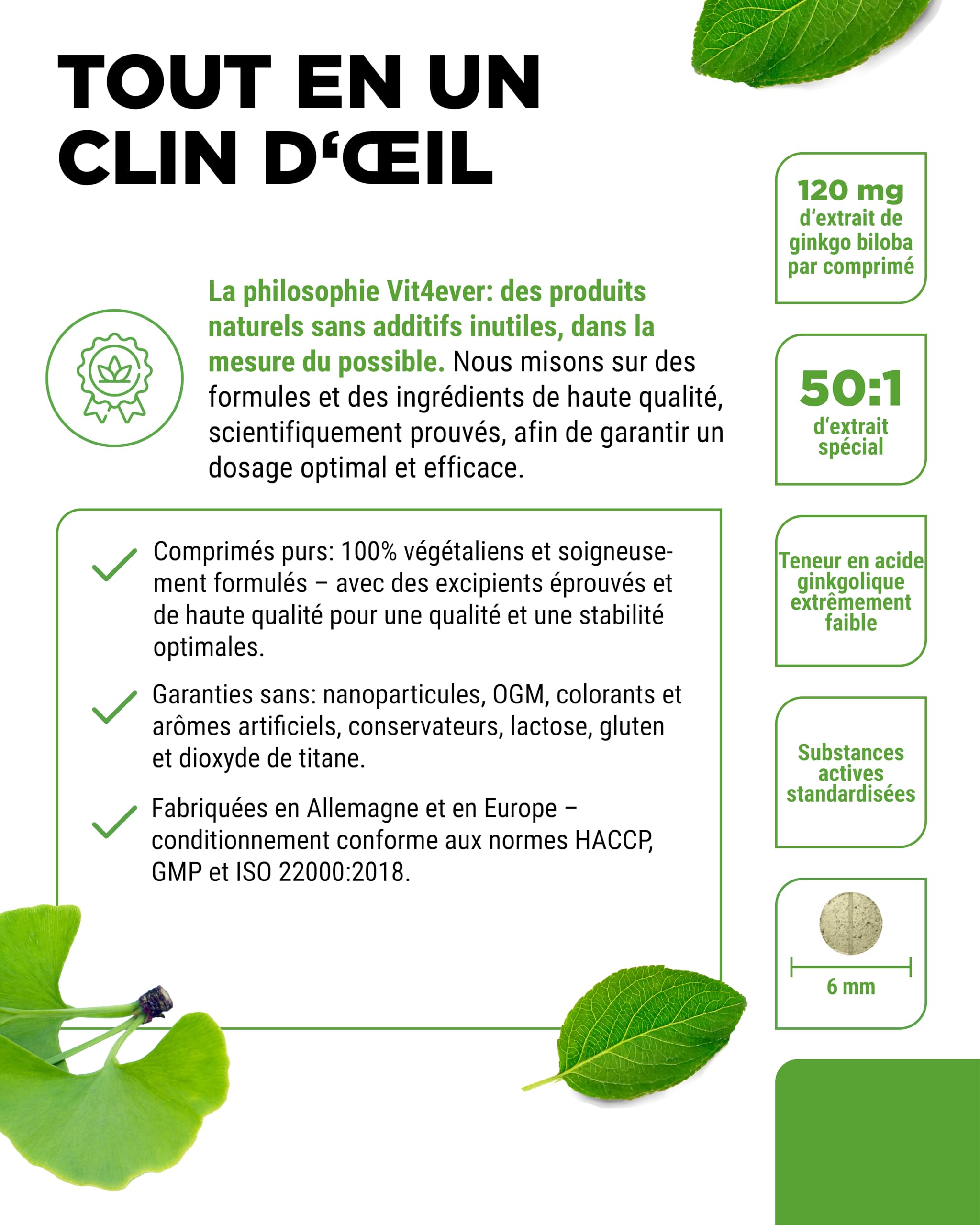 vit4ever Ginkgo Biloba 6000 mg - 365 Comprimés – Extrait Premium : avec Flavonoglycosides + Ginkgolides-Lactones Terpéniques & sans Acide Ginkgolique - Hautement Dosé – Vegan