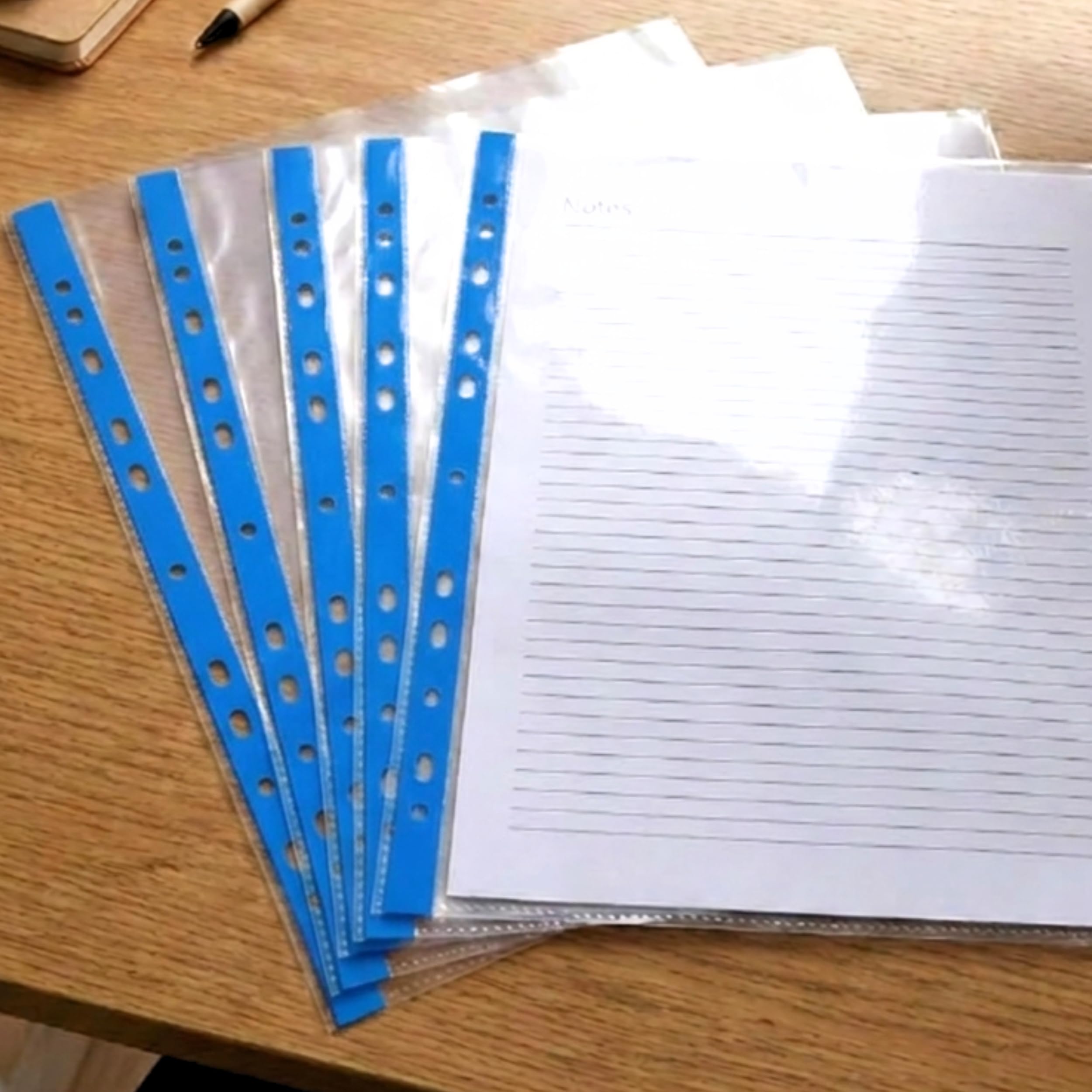 A4 Punched Pockets Filing Wallets Clear Plastic Document Protector Sleeves for Ring Binders Lever Arch Files Filing Folders Blue Pack of 100-1000 (200)