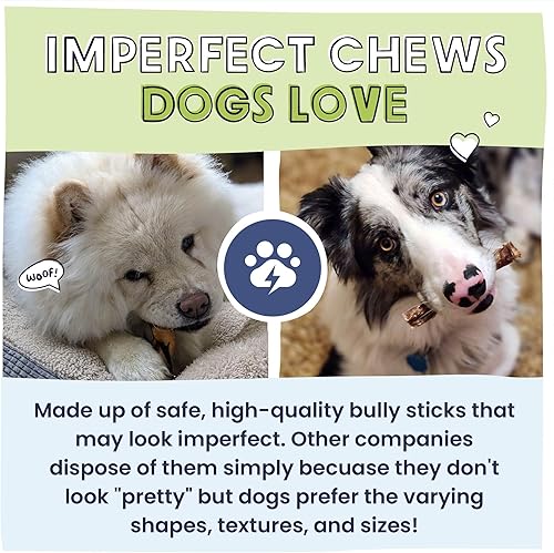 Miniatura 4 de Pawstruck Bizarre Bully Sticks para perro (por peso) Alimento ecológico para mascotas, a granel, huesos de Bullie naturales e inodoros hechos para