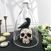 Vista 3 de Plymor Cúpula de cristal de 7.75 x 12 pulgadas (tamaño interior 7.25 x 10.25 pulgadas)