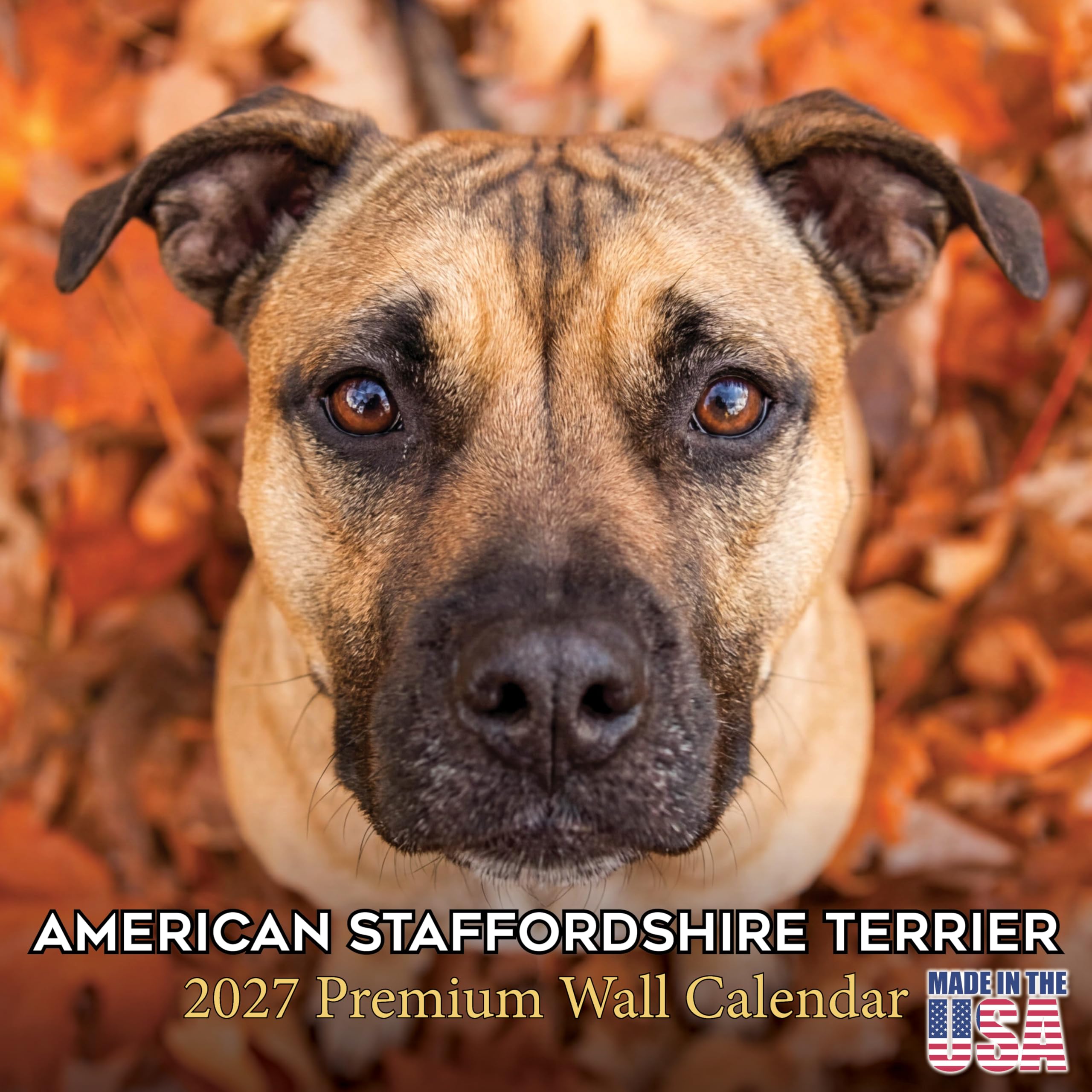 2022 2023 American Staffordshire Terrier Calendar,Dog Breed Monthly Wall Calendar,12x24 Open,Thick No-Bleed Paper,Giftable,Academic Teacher's Planner Calendar Organizing & Planning,Made in USA — image 1