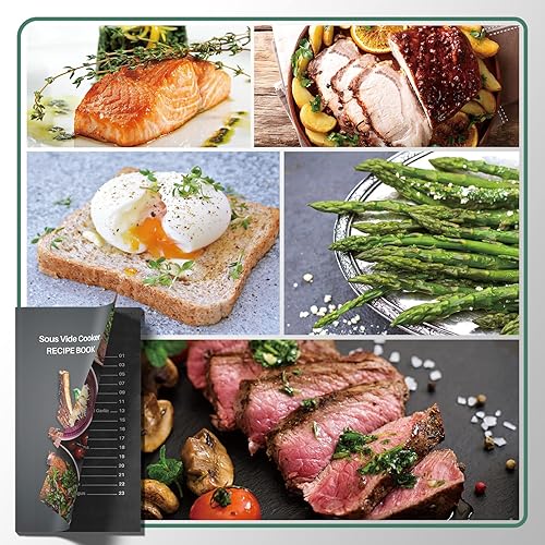 Miniatura 7 de Mecity Sous Vide - Máquina de cocina de precisión de 1100 W, para baño, cocina, carne, pescado de 0.5 grados, precisión de circulador de inmersión