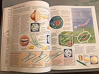 Review Image by LovetoGarden