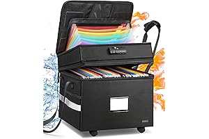 DEEGO Portable Filing Cabinet on Wheels: Keep Documents Organized and Safe