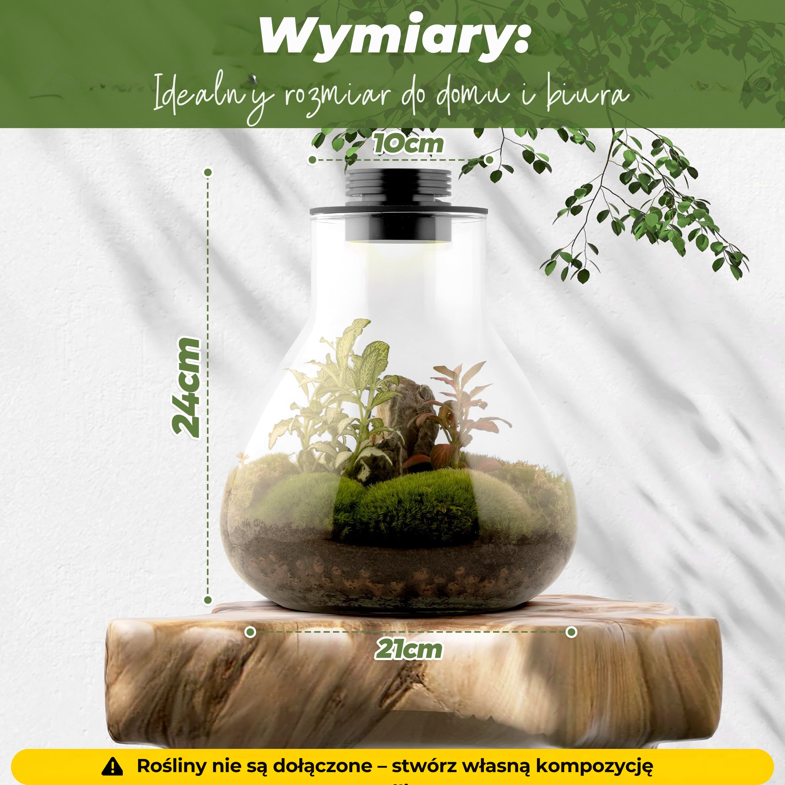 Terrarium dla roślin Terrarium Zestaw narzędzi Terrarium Zestaw narzędzi Borokrzemianowy pojemnik & Inteligentne światło LED
