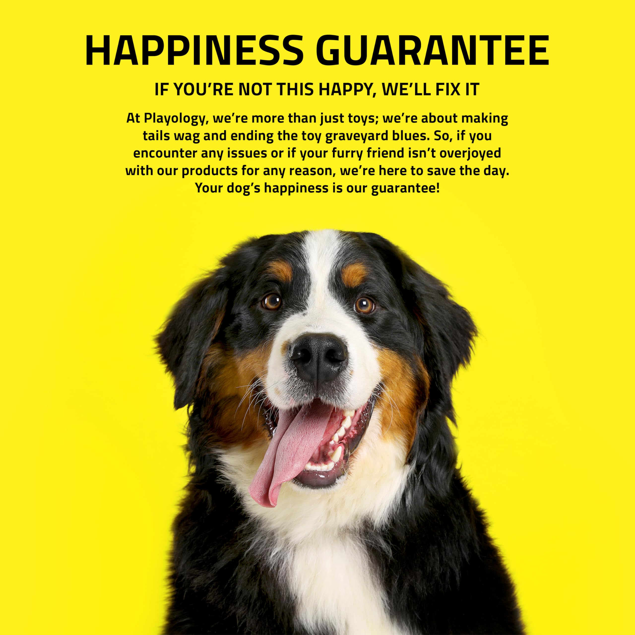 Playology Jouet couineur à mâcher pour Chien, pour Chiens de Taille Moyenne à Grande (6,8 kg à 15,9 kg) – pour mâcheurs modérés – Jouet parfumé au Cheddar entièrement Naturel – Matériaux Non Toxiques