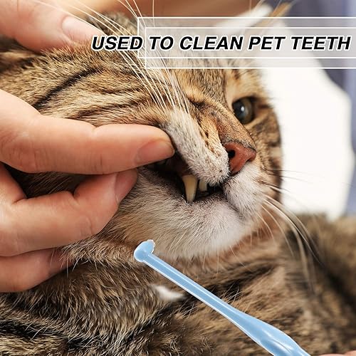 Miniatura 5 de Patelai 6 piezas de cepillo de dientes con mechón de extremo, cepillo de dientes interdental suave, removedor de manchas de dientes para implantes,