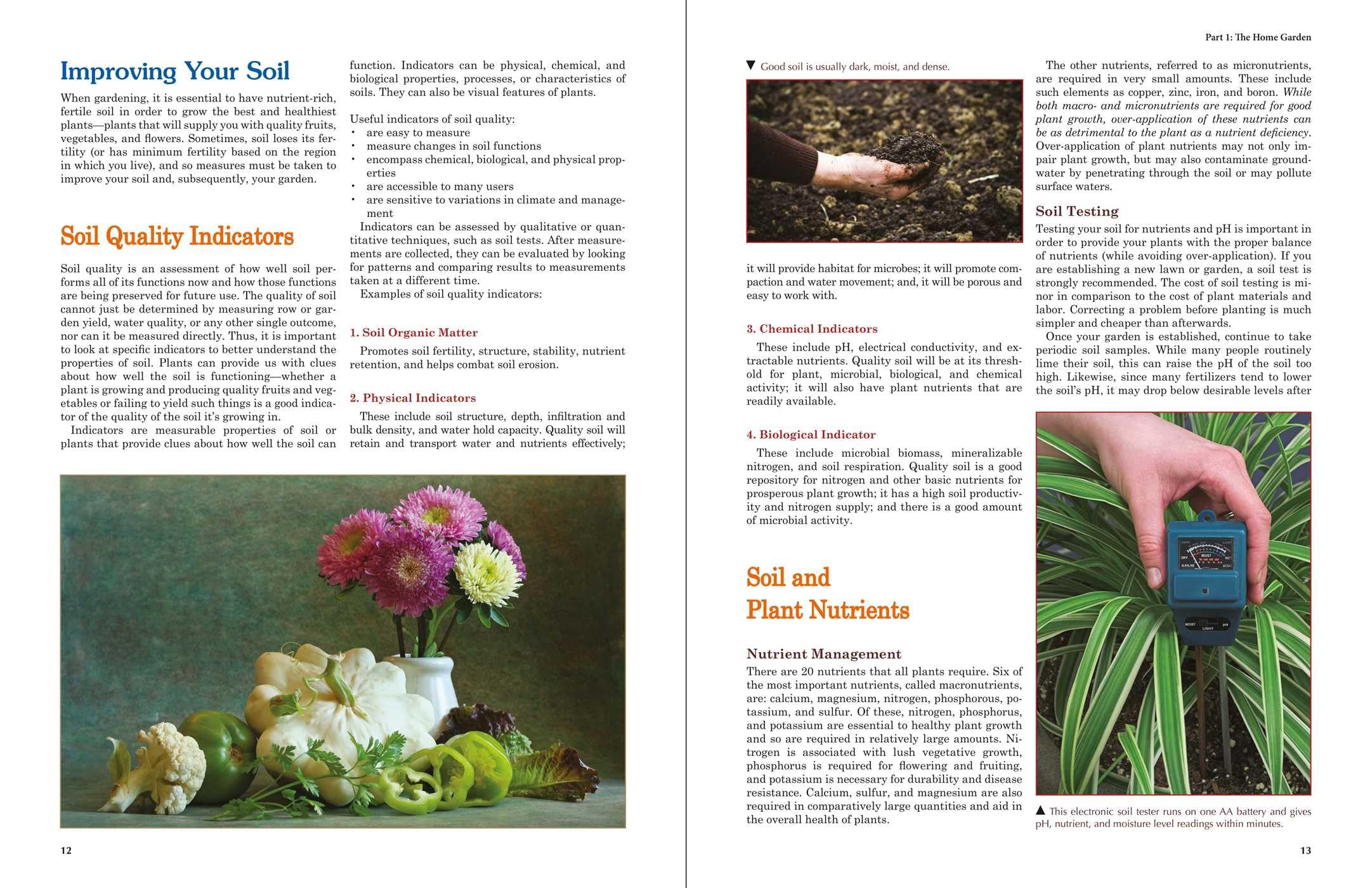 Homesteading: A Backyard Guide to Growing Your Own Food, Canning, Keeping Chickens, Generating Your Own Energy, Crafting, Herbal Medicine, and More
