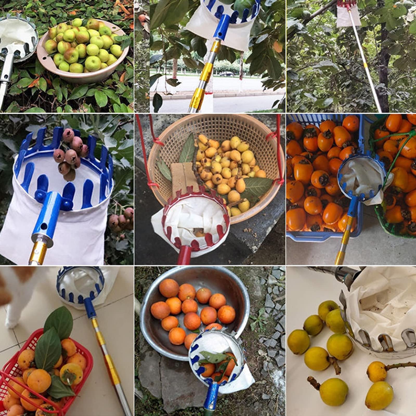 16 ft, Cueilleur de Fruits télescopique, Métal Cueille-Fruits avec Sac de Collecte, Outil de Cueilleur Récolteuses de Fruits Orange Pomme Outil de Cueillette de Jardin