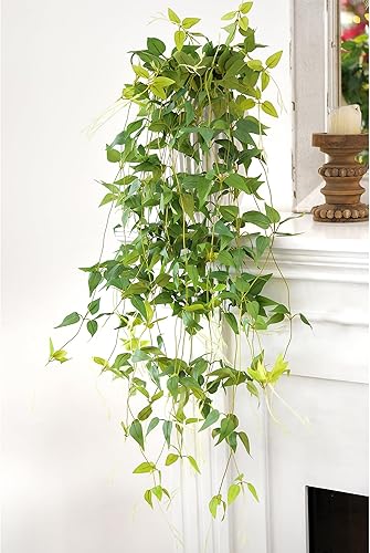 Miniatura 4 de FiveSeasonStuff Delicia de decoración versátil exuberante juego de hojas de Clematis de seda artificial elegante de 28 pies y 10 vides para