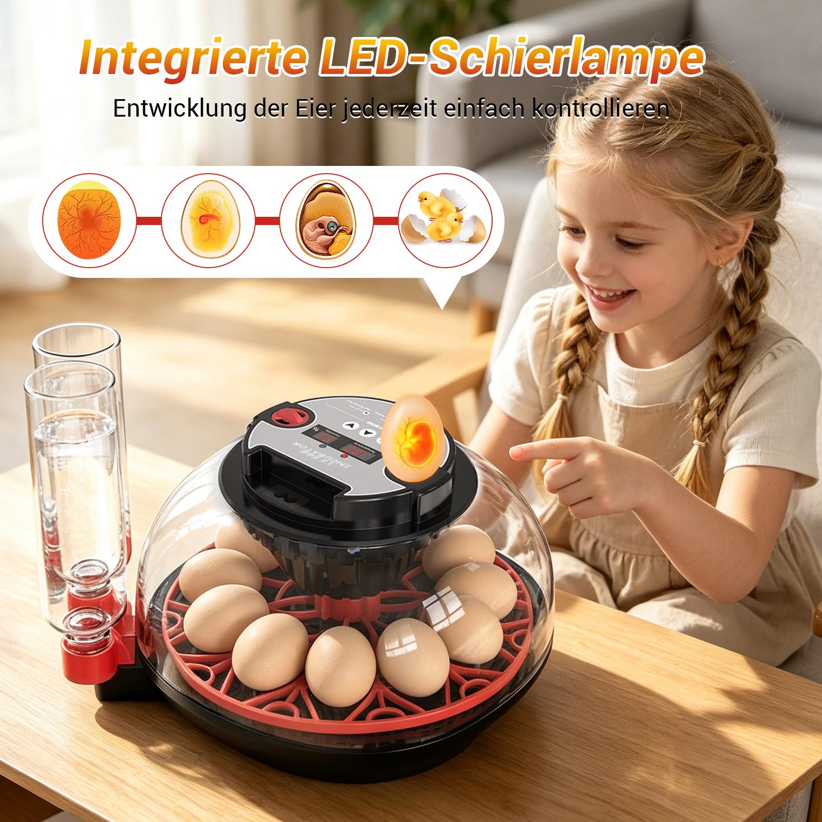 Brutautomat Vollautomatisch für 12 Eier, Digitaler Inkubator