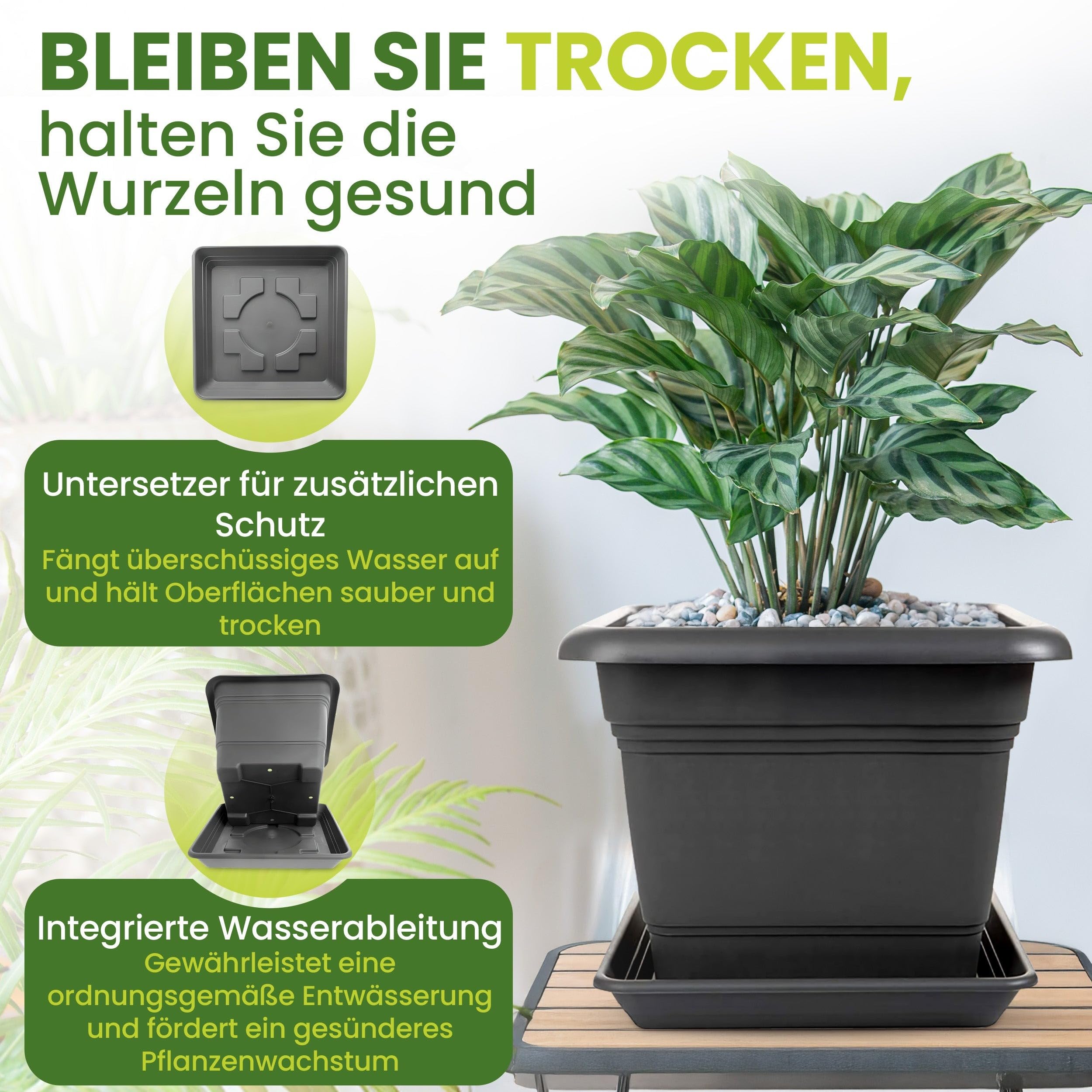 6er Set Blumenkübel Groß Außen 40x40cm Pflanzkübel Blumentopf Anthrazit Premium PP-Kunststoff Made in Germany mit Untersetzer