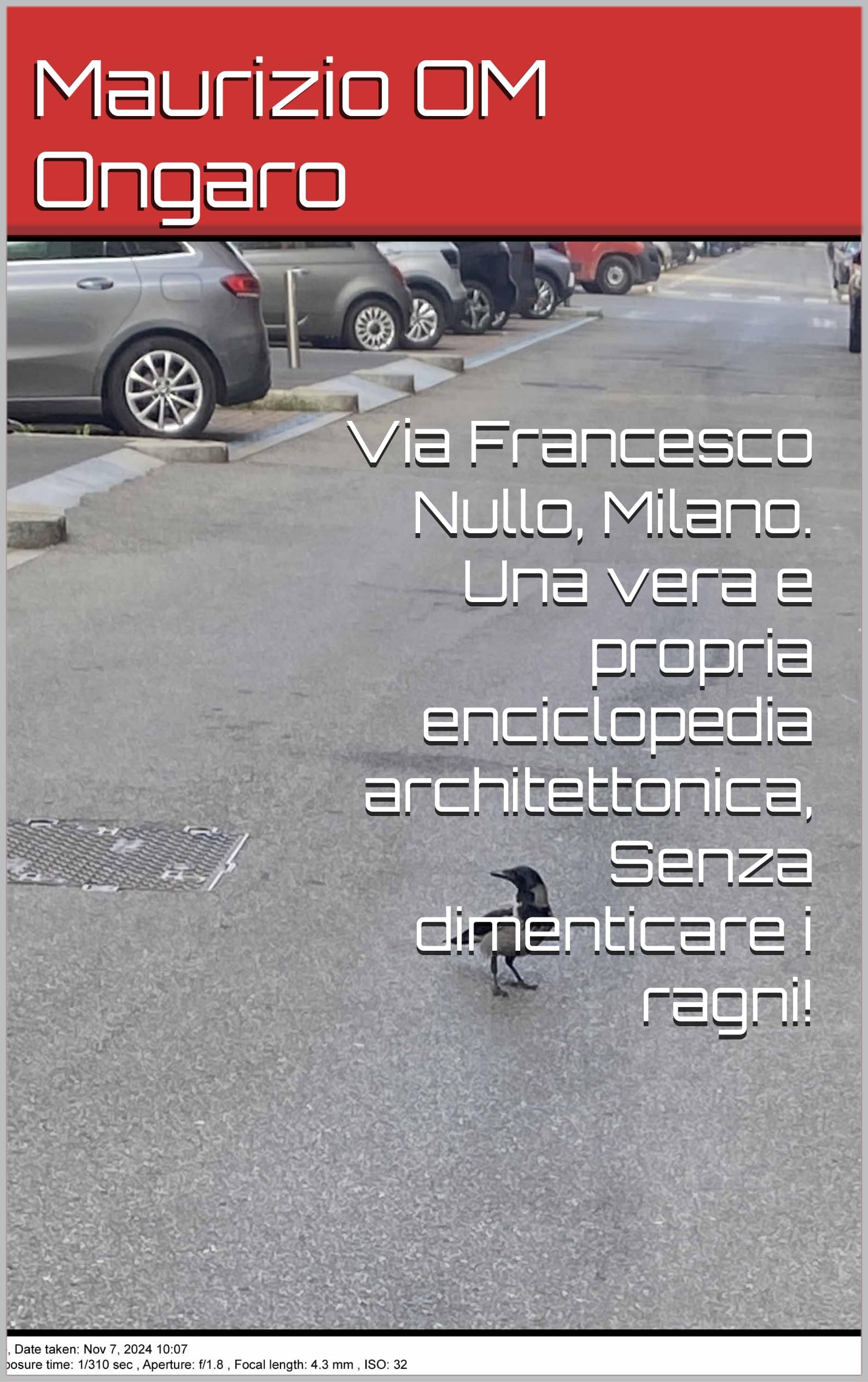 Livre sur les secrets de Milan et Via Francesco Nullo