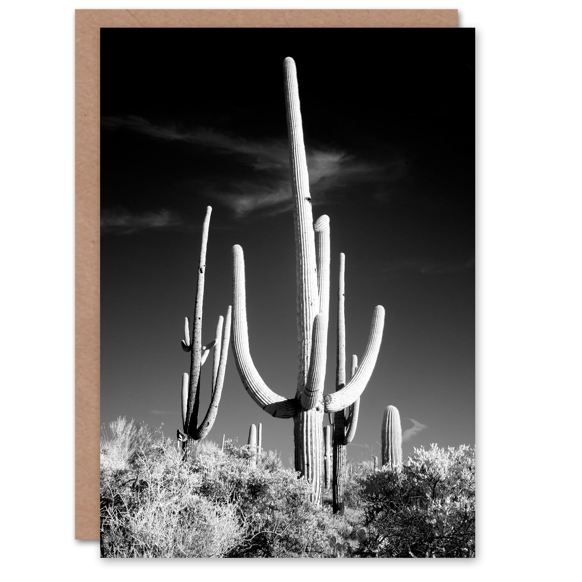 Artery8 Carol M Highsmith Art Card Saguaro Cactus Black White Photograph