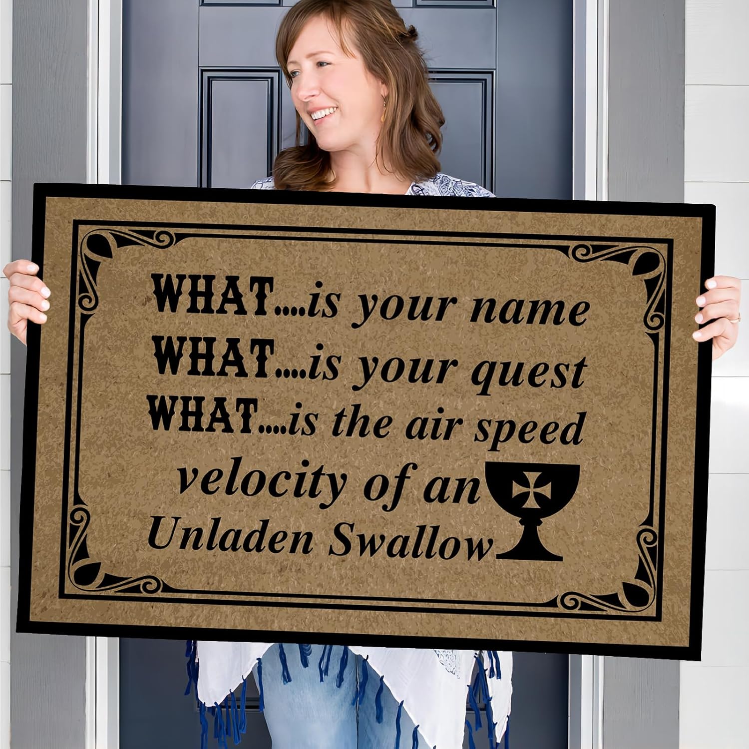 Doormat for Outdoor Entrance Home, What is Your Name What is Your Quest What is The Air Speed Velocity of an Unladen Swallow Indoor Christmas Floor Mats Doormat 23.6" X 15.7", Welcome Door Mat