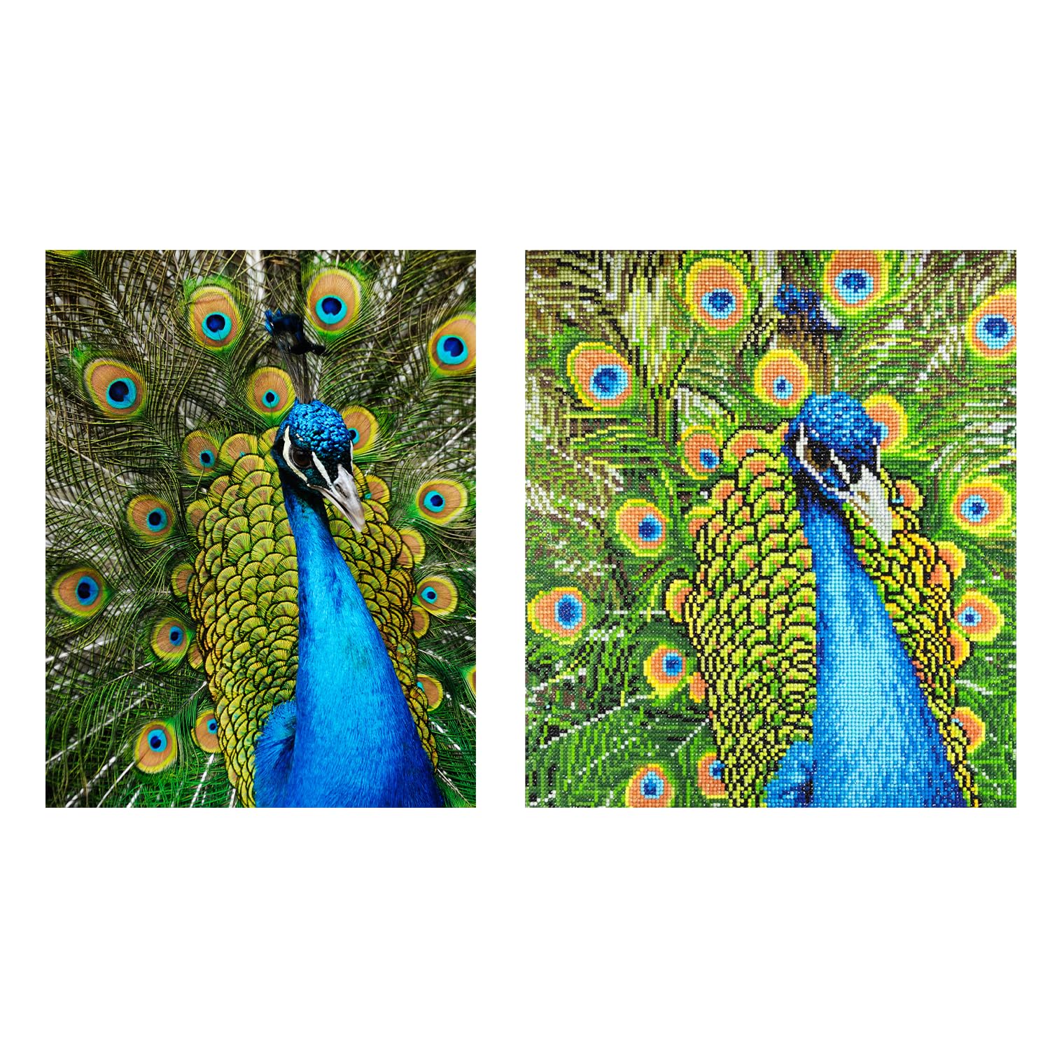 YSCOLOR Diamond Painting 5D Fai Da Te - Kit Pavone 30x40cm Con Diamanti Rotondi E Tela HD - 6
