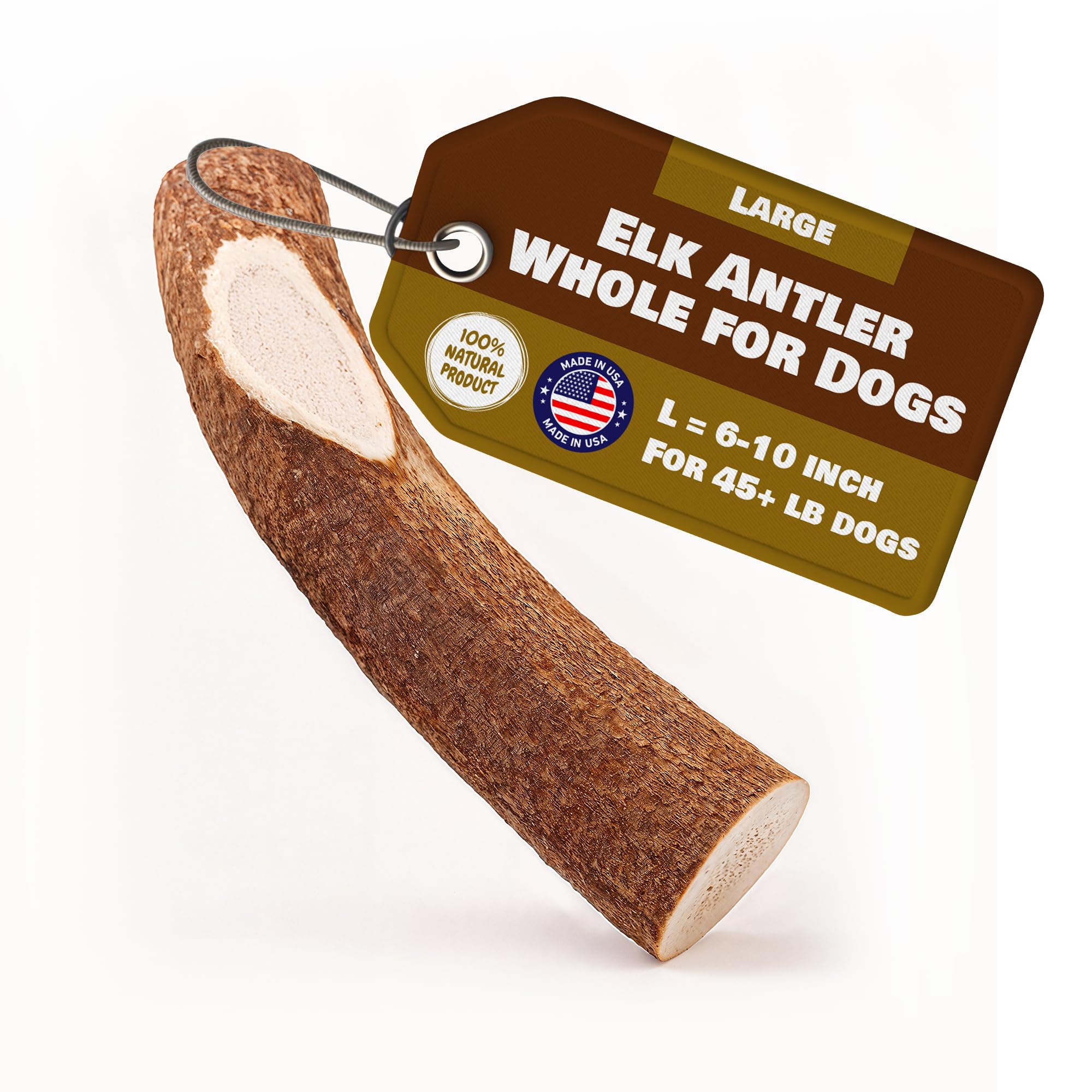 Extra Large Whole Elk Antlers for Dogs | 100% Natural & Organic | Dog Elk Antler for Aggressive Chewers | Whole Dog Antler Chews for Dogs and Puppies | 6-10 Inches, 8 oz