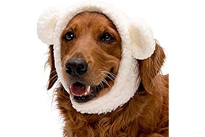 Cozy Polar Bear Canine Costume