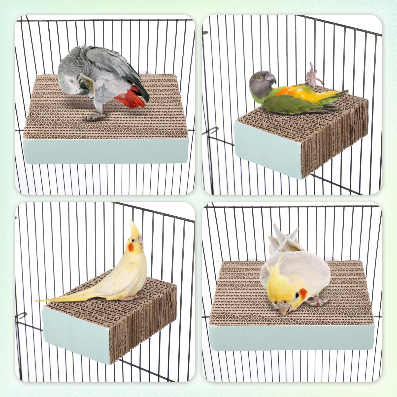 Nuanchu Lot de 6 perchoirs à oiseaux en carton pour perroquet, plate-forme de meulage de pattes d'oiseaux, cage à perroquet, moineau, perroquet, perruche, calopsitte, inséparable