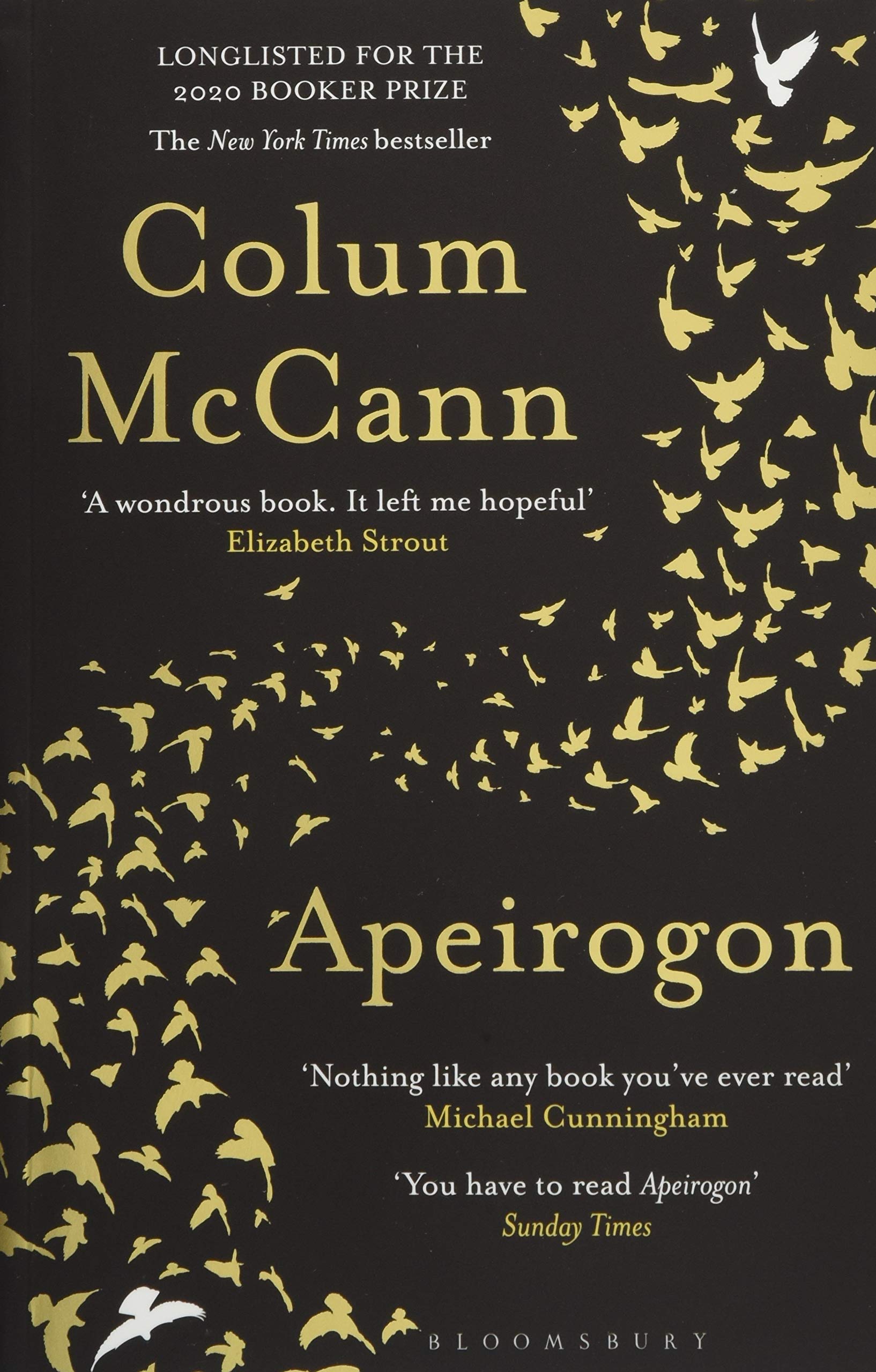 Apeirogon: Longlisted for the 2020 Booker Prize
