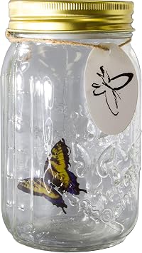 Animated Butterfly in a Jar Yellow Swallowtail Figurine by SciencePurchase
