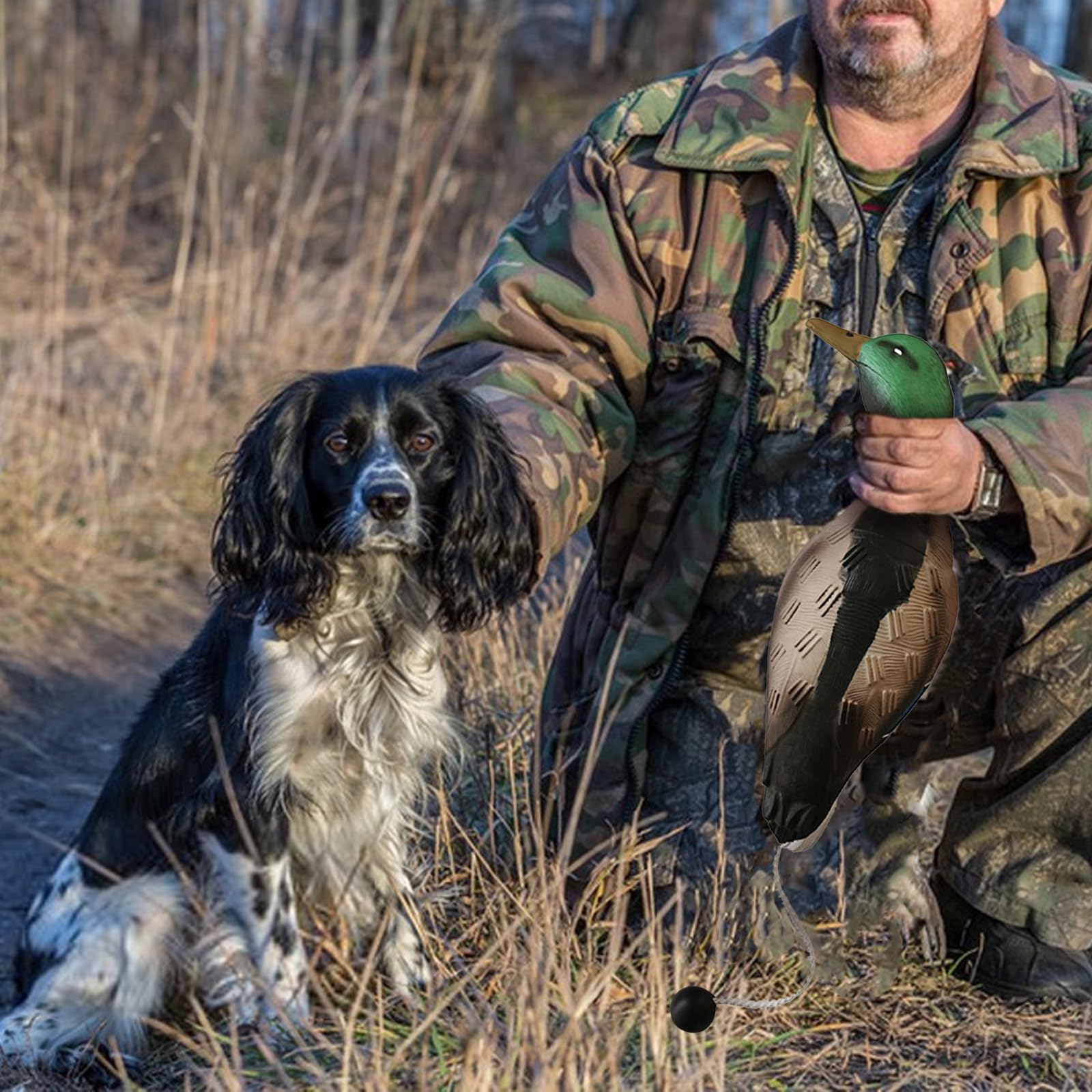 Ente Fasan Taube, Hundetraining, Taubenschnuller für Hundetraining Dummy Bumper Retriever Training Schwimmend De-ad Vogel Fowl Trainer Jagd Retriever Hundetraining Zubehör