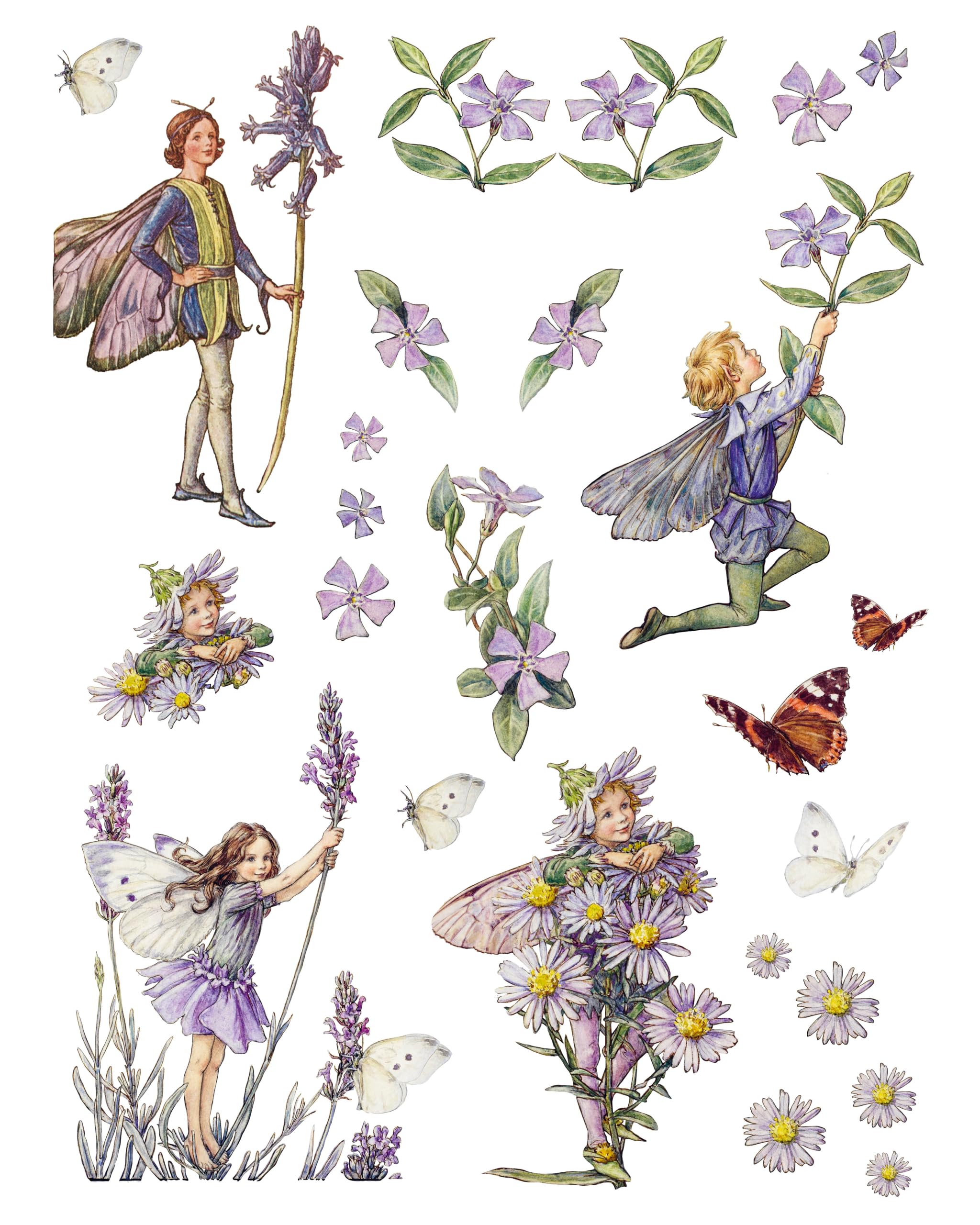 Cut Out and Collage Flower Fairies: Cut Out and Keep Flower Fairies for Arts and Craft