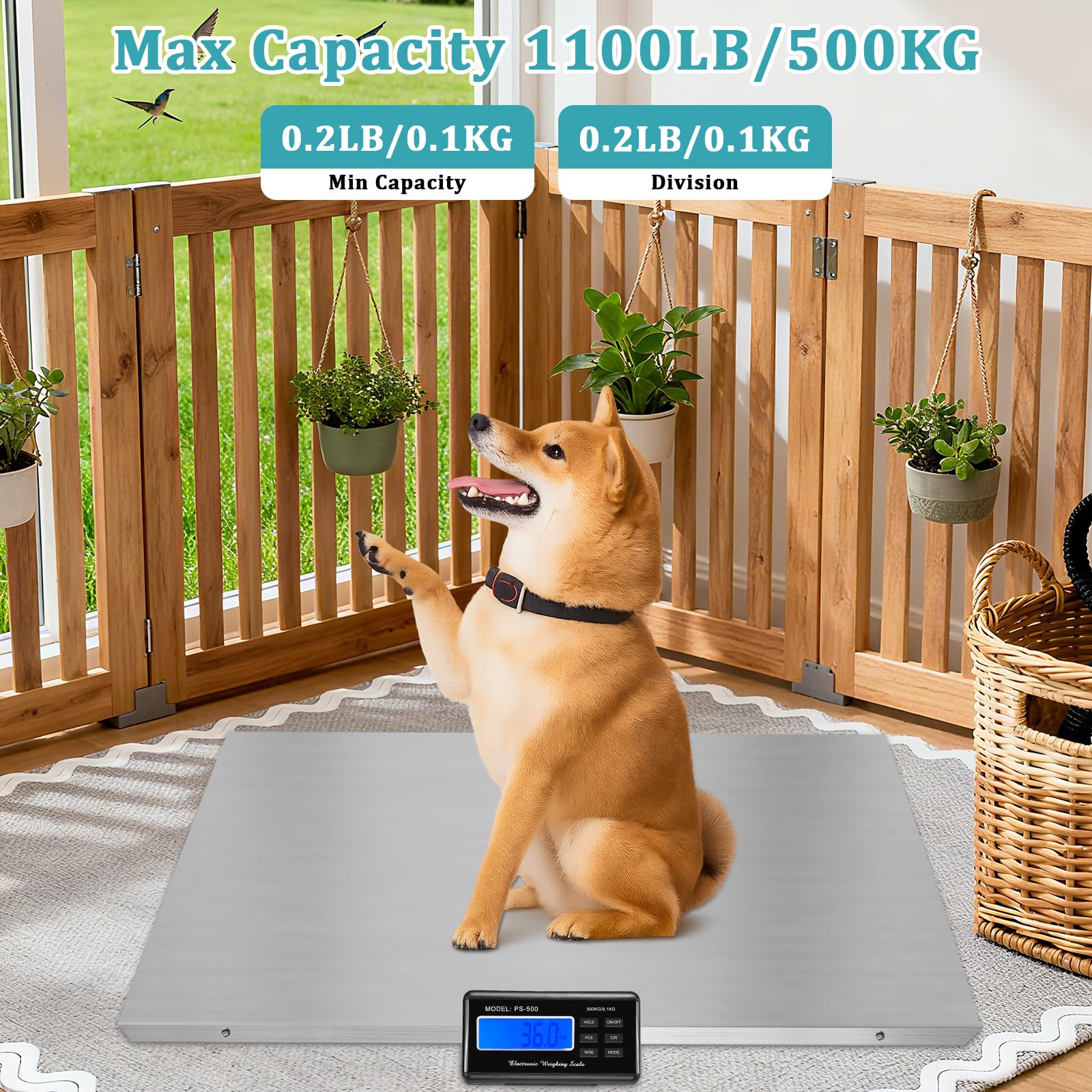 Báscula para mascotas para perros grandes, báscula de perro de 1100 libras x 0.25 libras para razas grandes, báscula de ganado, báscula de animales, báscula para cachorros, 3 modos de pesaje, LB, KG