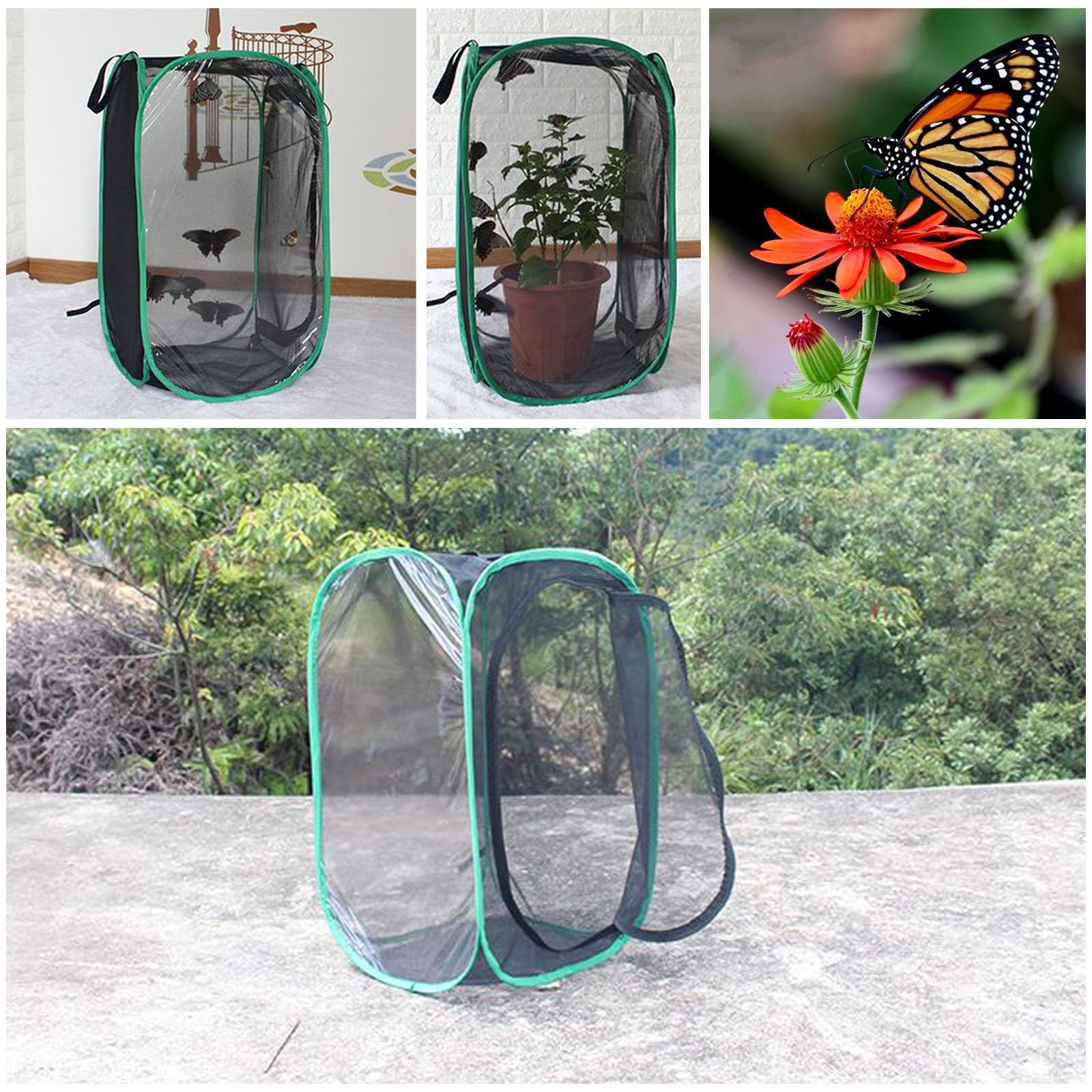 Beavorty Jaula Plegable para Insectos Red Transpirable y Buena Ventilación, Incubadora Translúcida Práctica para Mariposas, Fácil de Almacenar y Usar