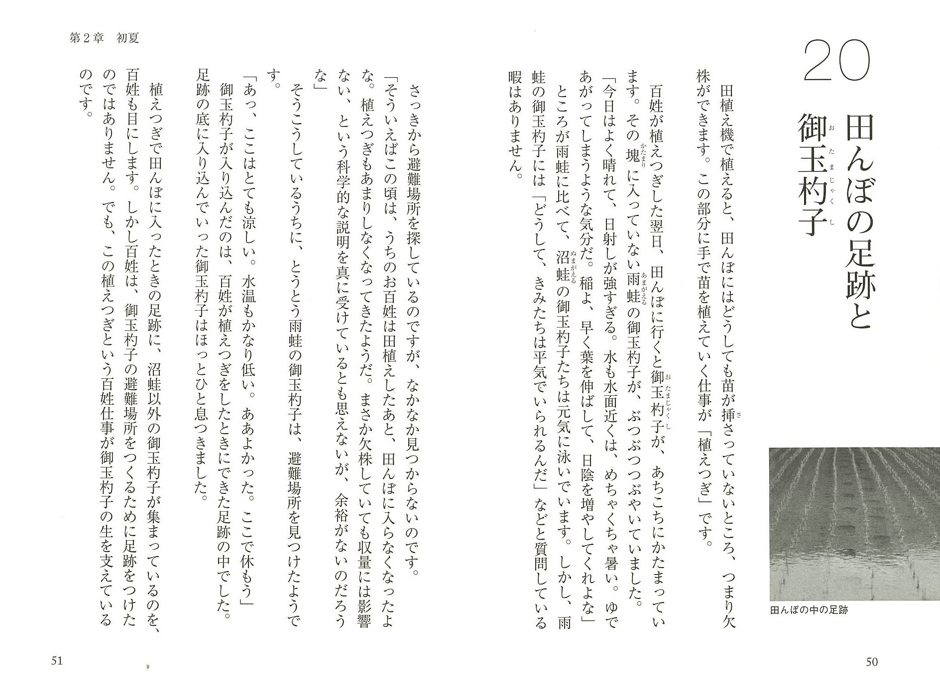 人間が知らない田んぼの世界 生きもの語り 宇根豊 本 通販 Amazon