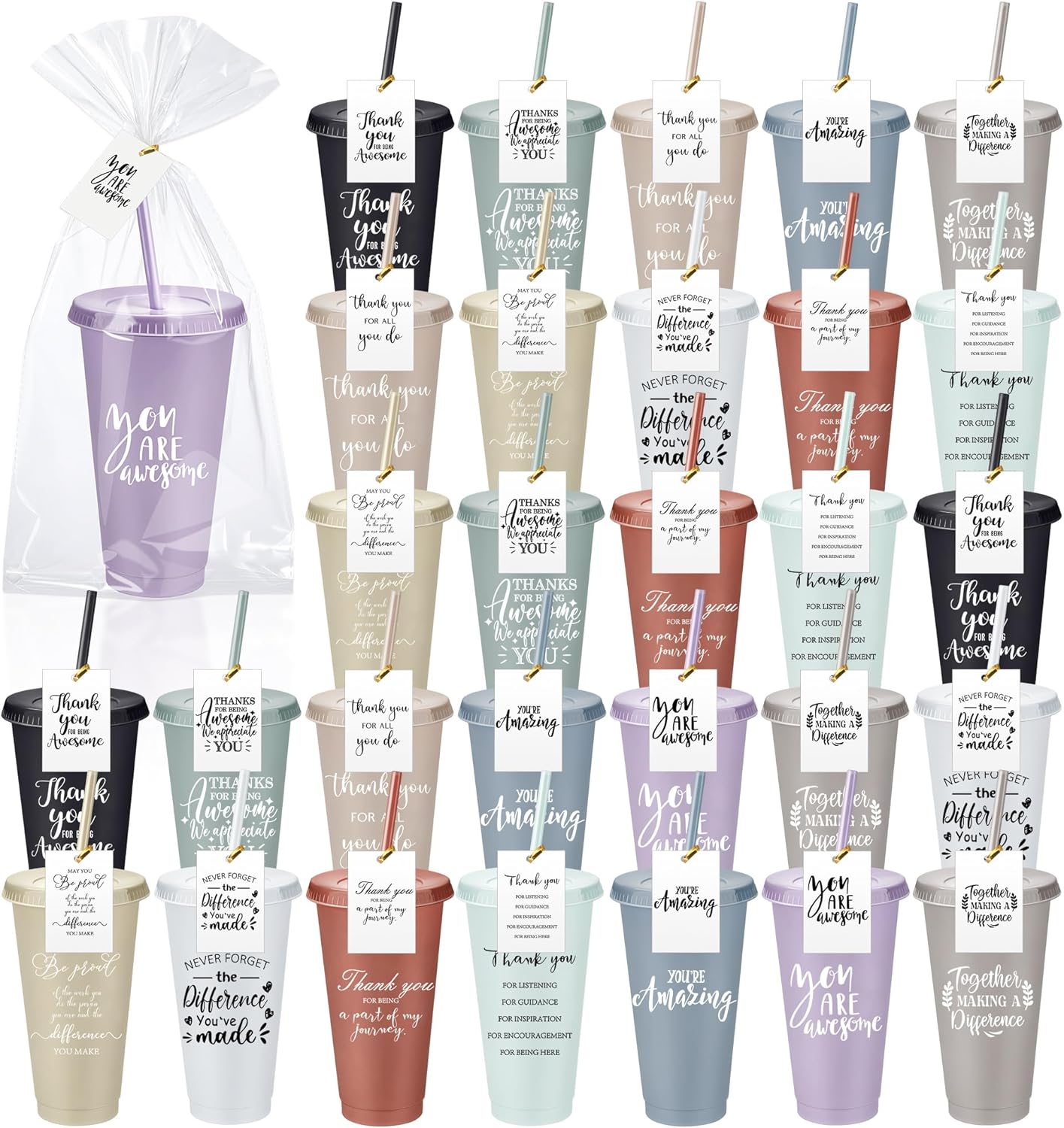 Skylety 30 Pcs Valentine Galentine Employee Appreciation Gift Bulk 24 oz Plastic Tumbler Cup with Lids Straws Thank You Cup Bulk for Coworker Team Teacher Nurse Volunteer(Awesome,Bright Colors)