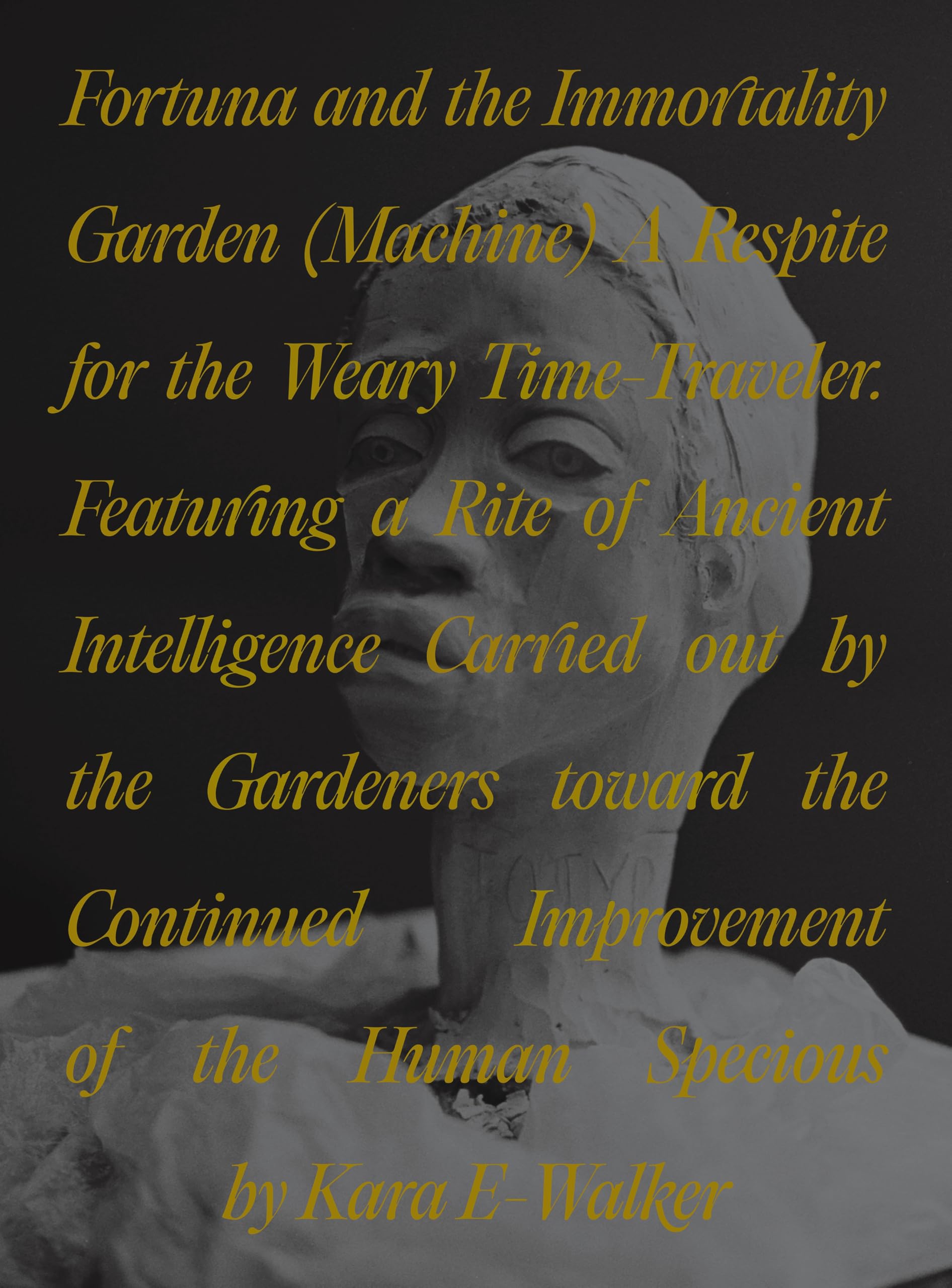 Fortuna and the Immortality Garden Machine by Kara Walker PAPERBACK