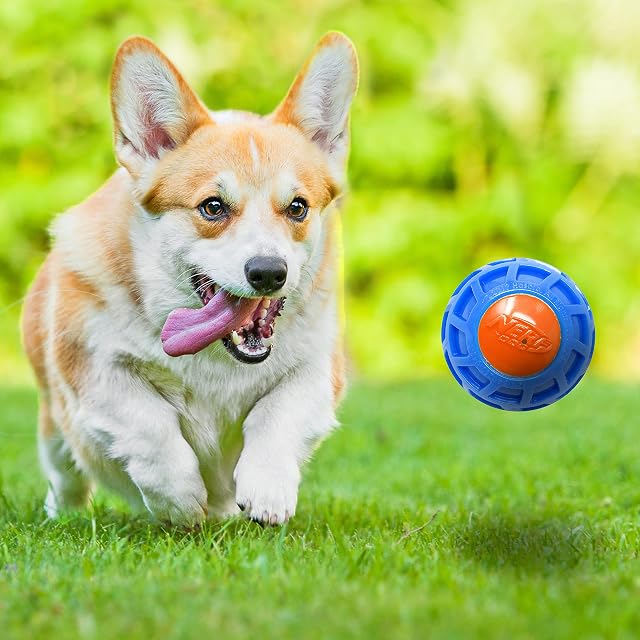 Foto 4 de 5 de Nerf Dog - Bola de chirrido (3 Pulgadas), Color Azul y Naranja