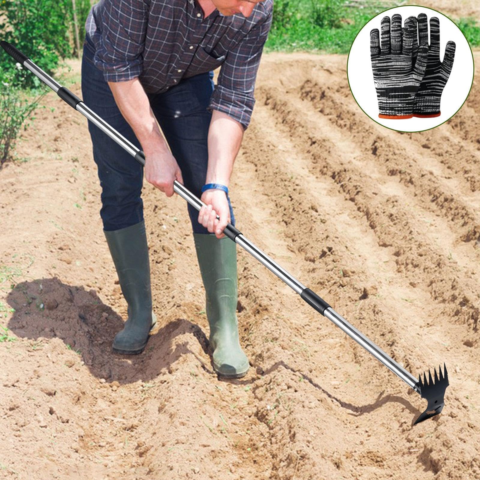Unkrautentferner mit ergonomischem Design, Handrechen und Hacke für die Gartenpflege, Mehrfarbig, 5 Abschnitt