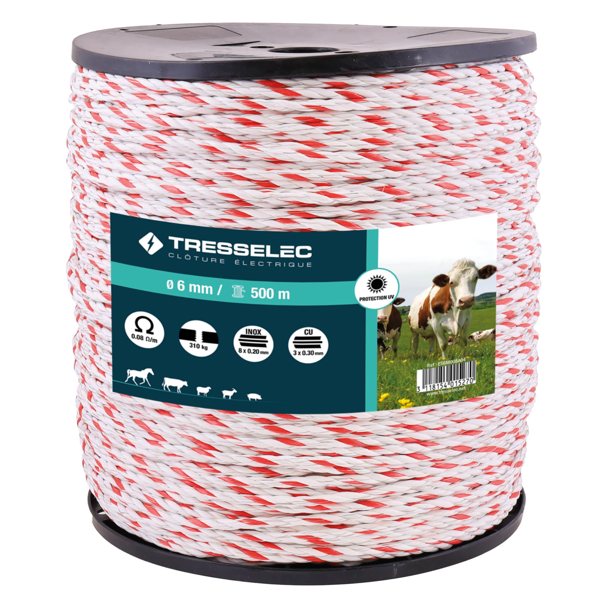 L'addestramento Del Cavallo Segue La Recinzione Delle Penne Fotografia - Foto 9