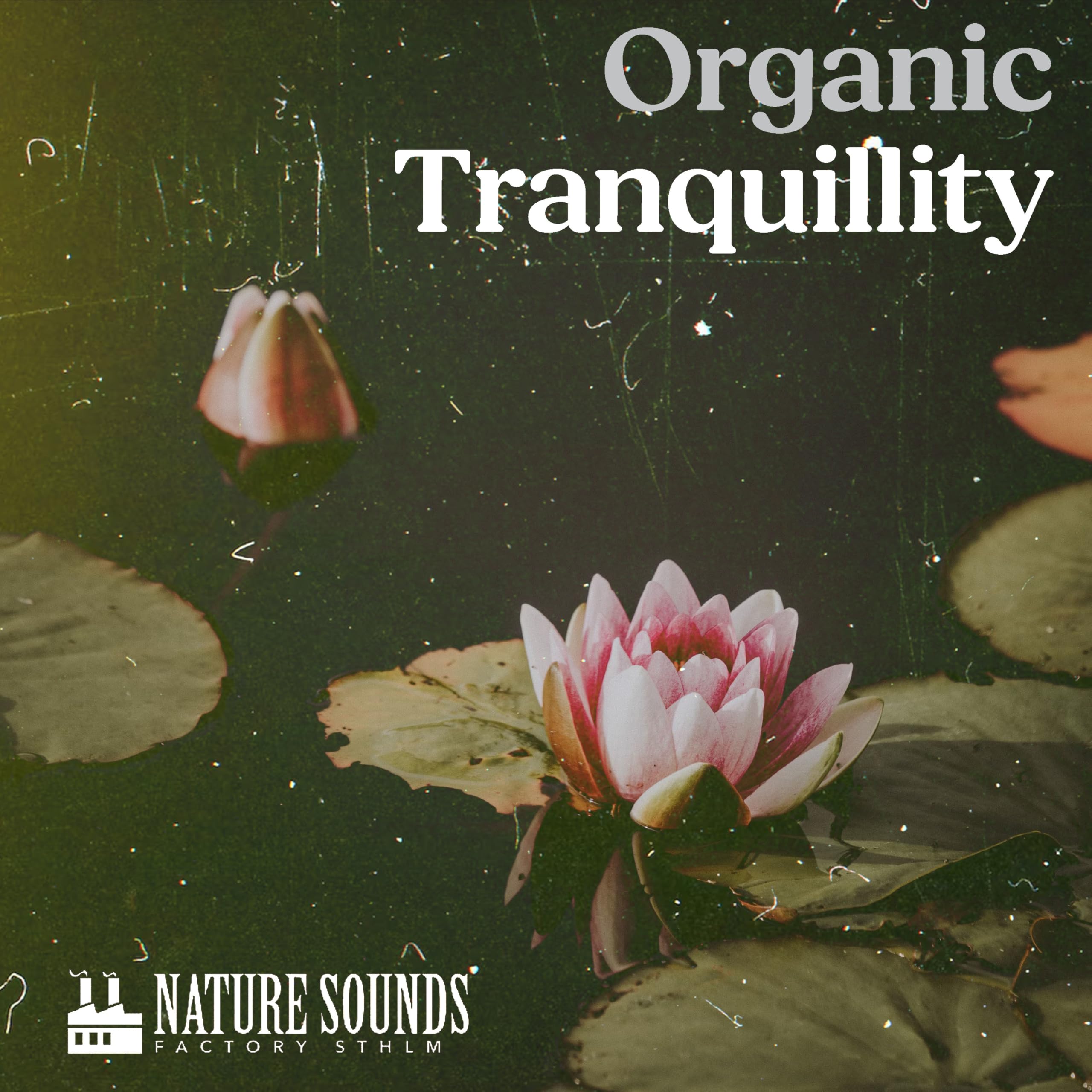 Nature Sounds Factory STHLM