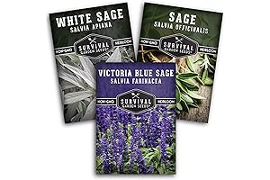 Survival Garden Seeds Sage Collection Seed Vault