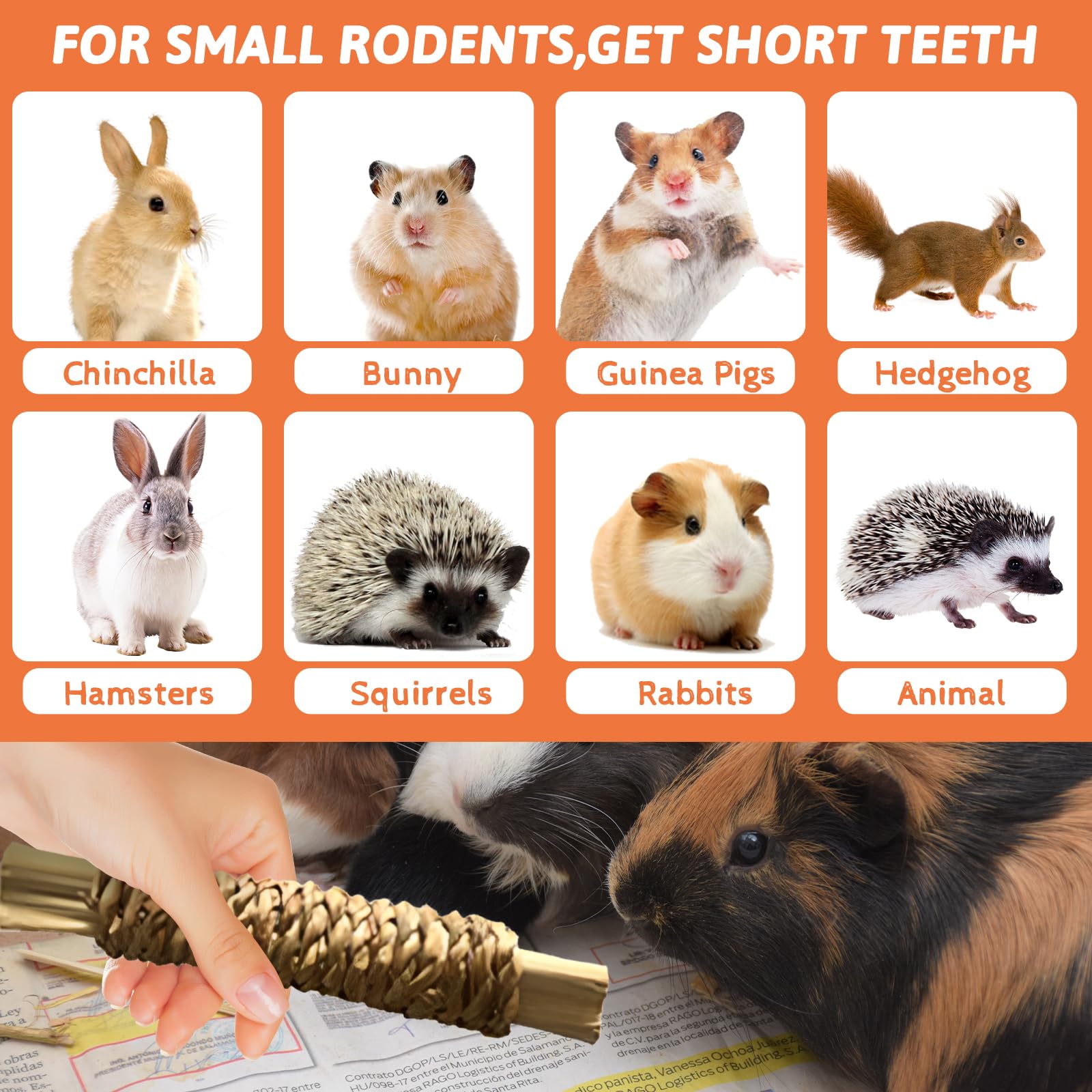 lisetar Rabbit Toys Guinea Pig Toys Hamster Toys Bunny Toys 18Pcs Natural Timothy Hay Sticks Apple Wood Sticks Chinchilla Toys for Teeth Care Handmade - Image 4