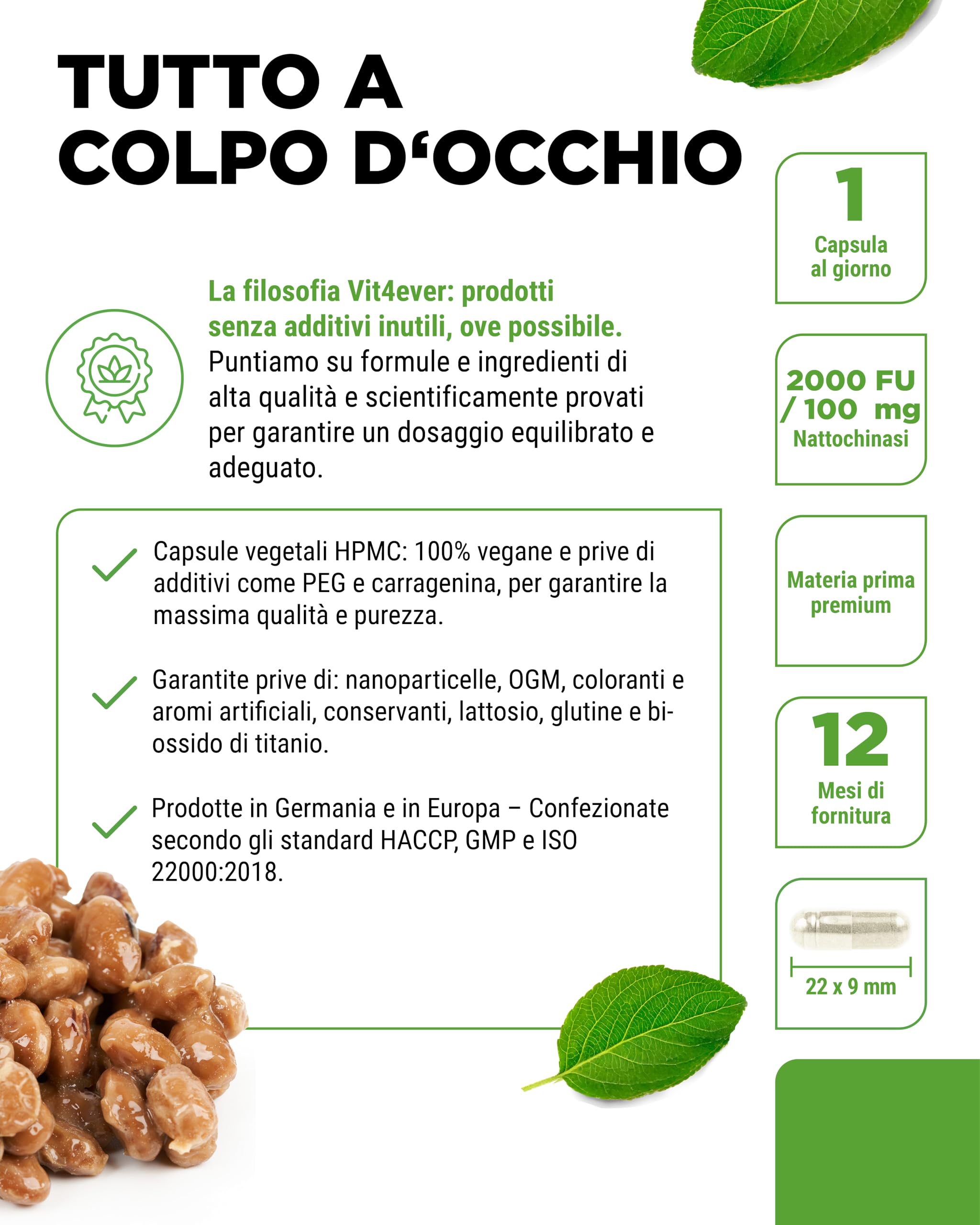 vit4ever Nattokinase - 365 Capsule da 100 mg Nattokinasi (20.000 FU/g) - Scorta per 12 Mesi - Alto Dosaggio - Vegano - Senza OGM - Senza Additivi Inutili