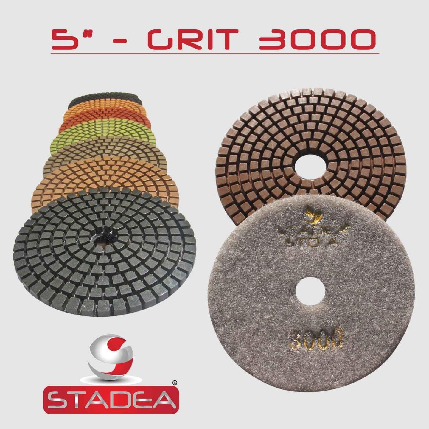 Ziarnistość 200 (5 sztuk) 12,7 cm diamentowe podkładki polerskie do granitu marmuru betonu polerowanie kamienia szlifierka na mokro