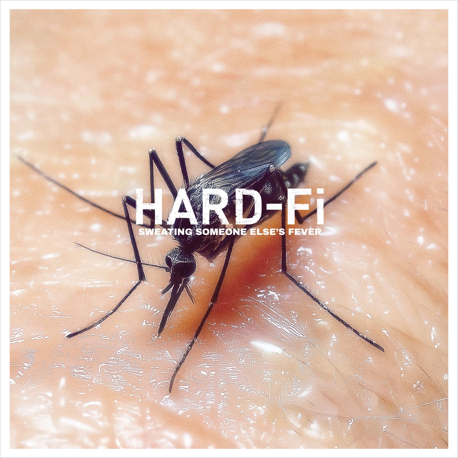Hard-Fi Sweating Someone Else's Fever LP Vinyl NEW